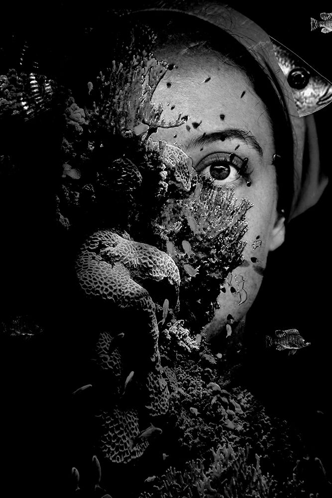 Photograph by Renata Bragatto