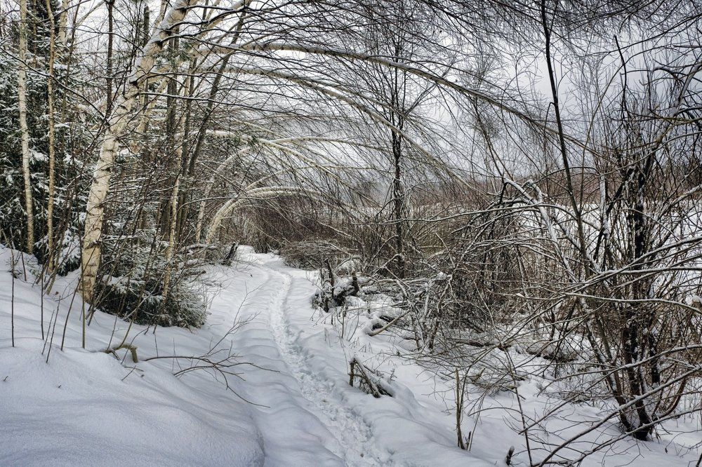 Photograph by Юлия Мазуркевич