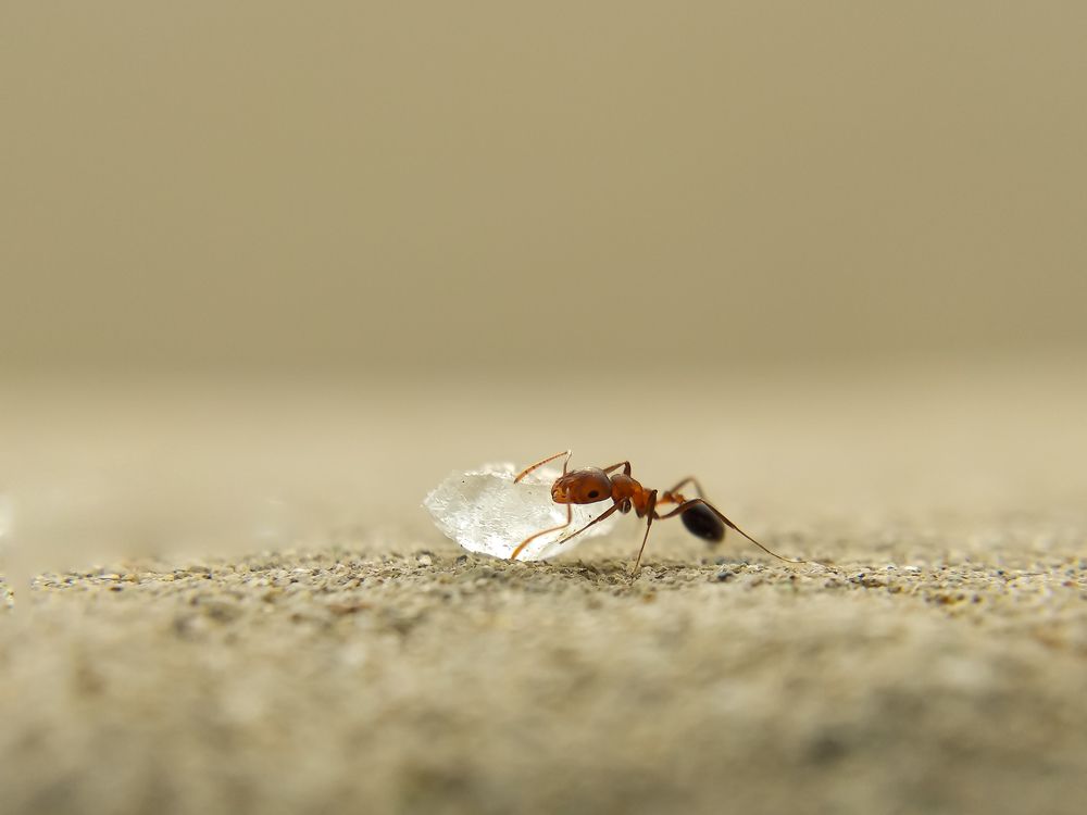 Photograph by Mahaveer singh Mahi