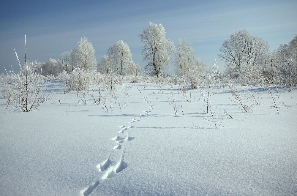 Photograph by Валерий Чичкин
