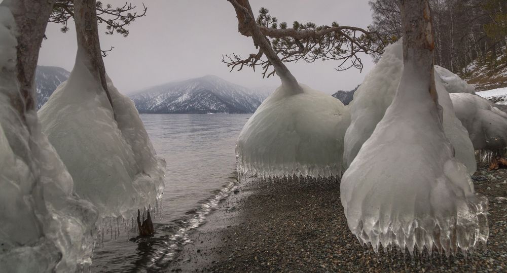 Photograph by Конева Анна