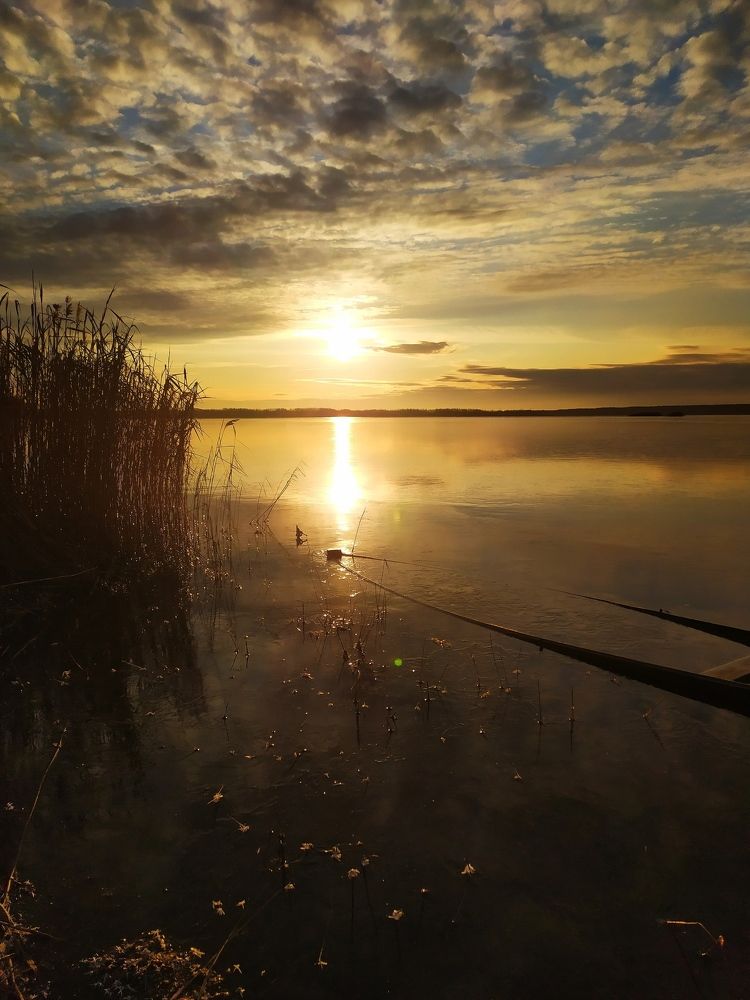 Photograph by Алёна Монахова