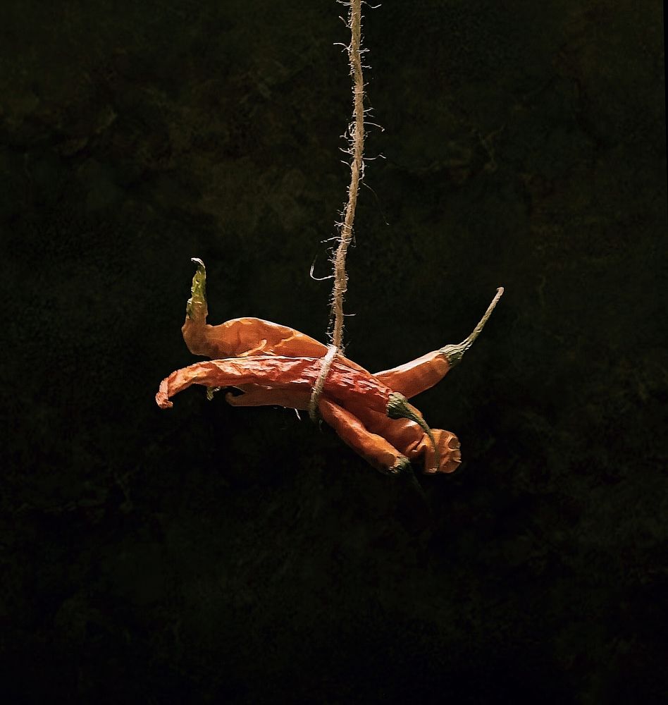 Photograph by Hafiz Zenab