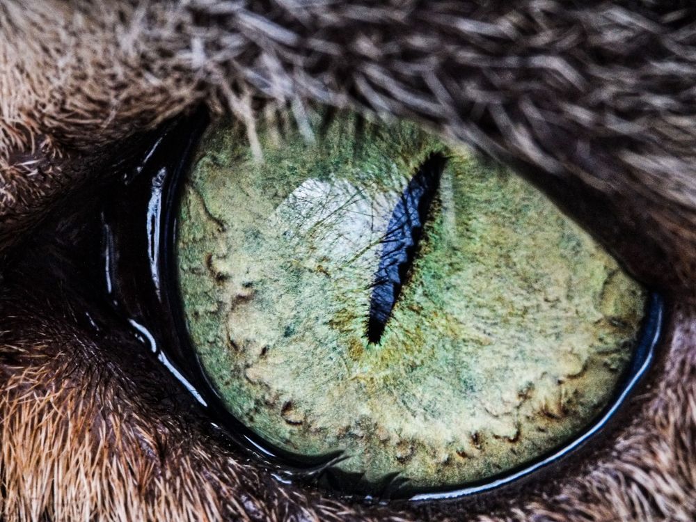 Photograph by Юлия Иванова