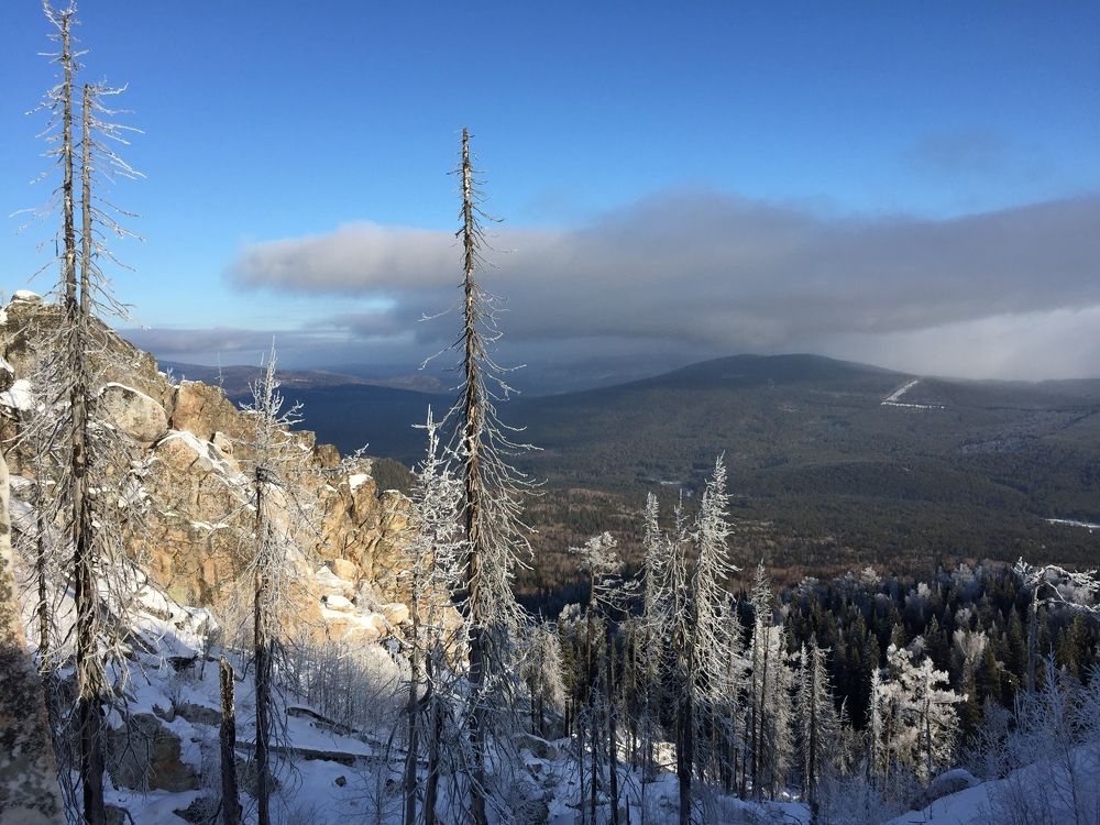 Photo #5929448