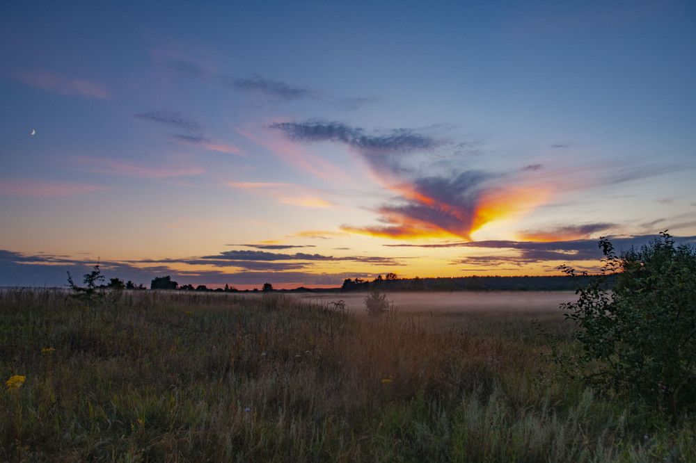 Photograph by Галина Завязкина