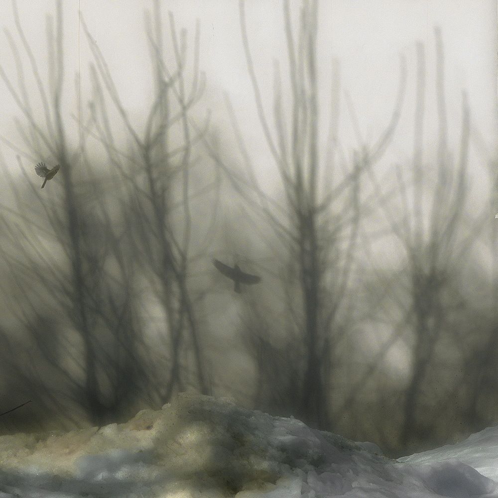 Photograph by Oleg M Kulishov