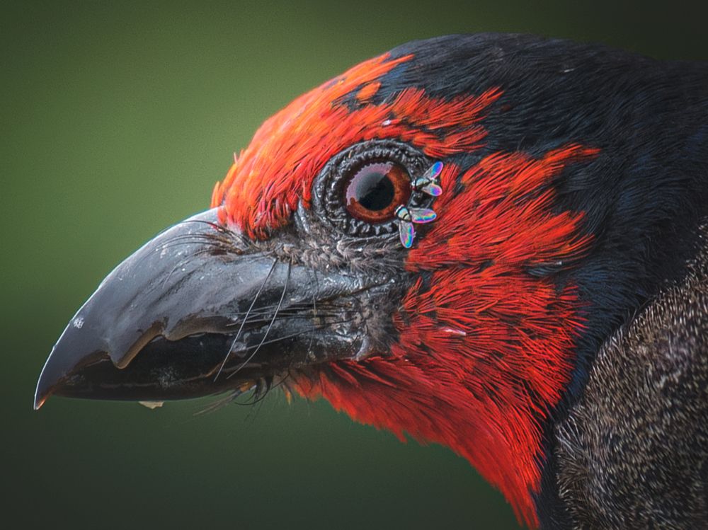 Photograph by Kirkamon Cabello