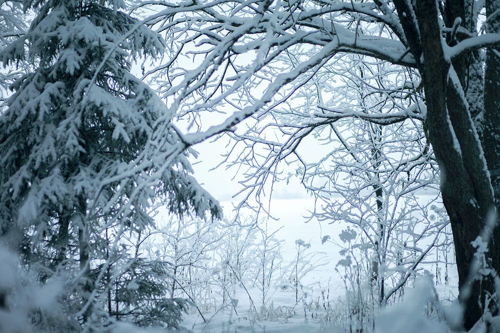 Photograph by Марина Киселева