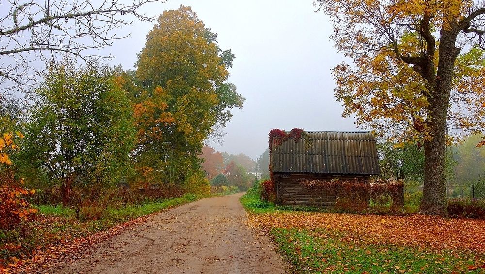 Осень, осень...