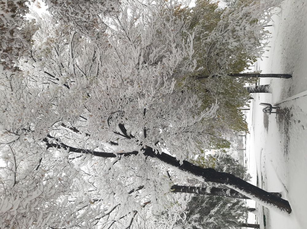 Photograph by ali bakhshi