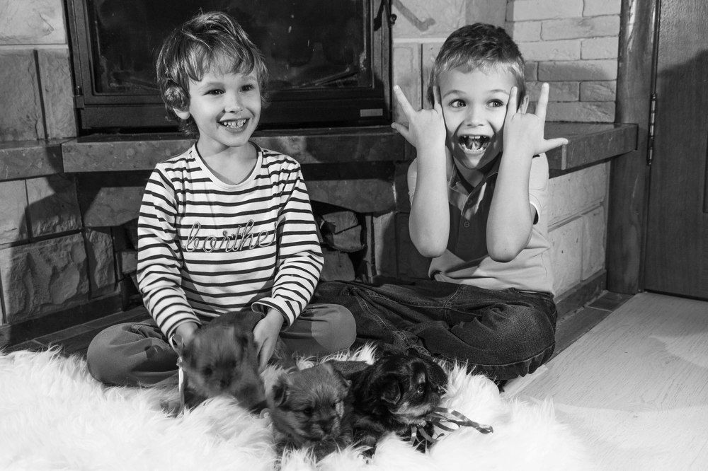 Мой старший брат Бетмен))