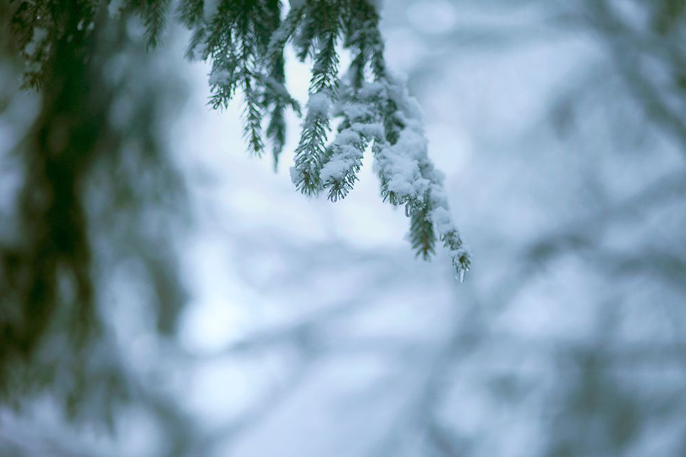 Photograph by Марина Киселева