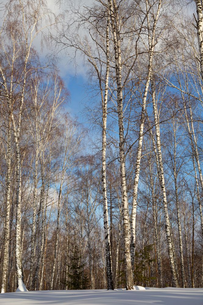 Последний день февраля