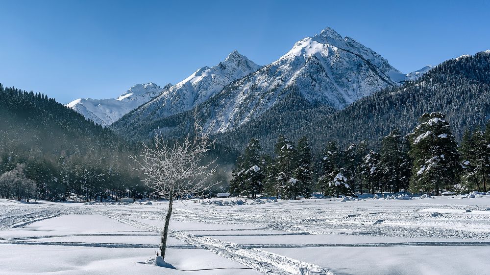 Photograph by Виталий Павлов