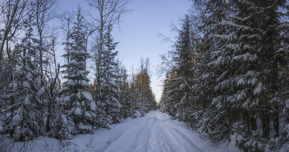 Photograph by Вячеслав Булатов