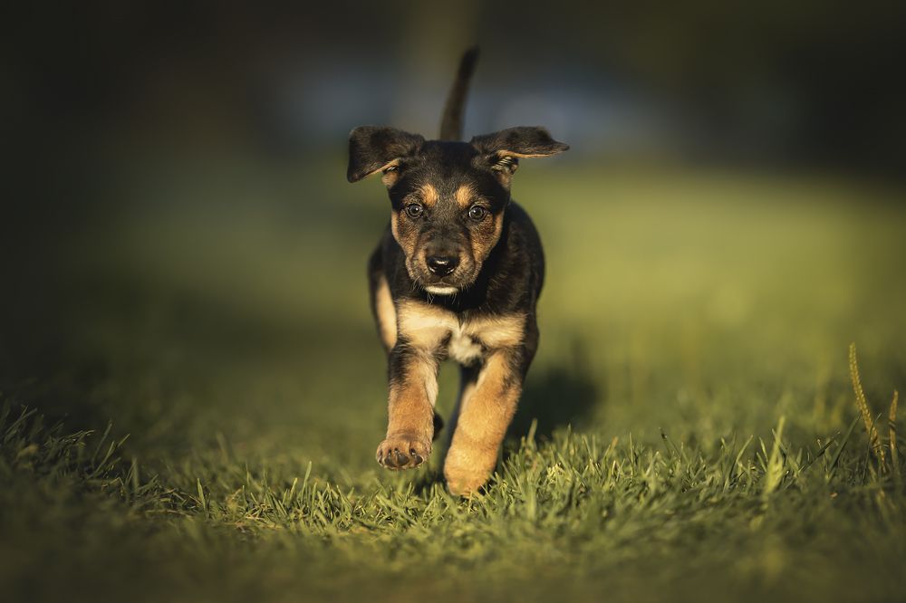 Photograph by Ирина Леонова