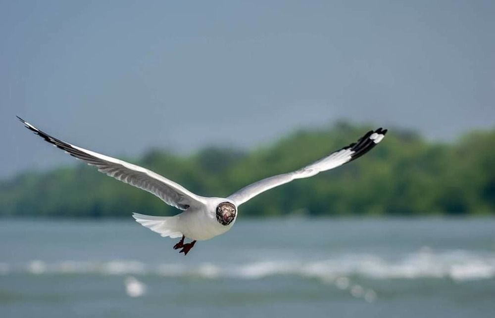 Photograph by nadirujaman hemal fakir fakir