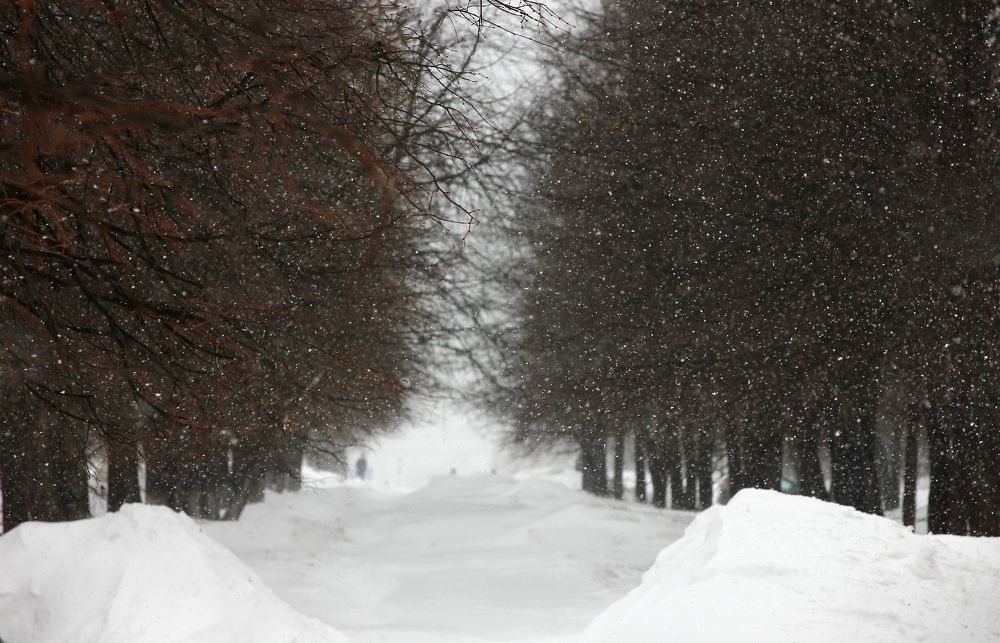 Photograph by ALBERT