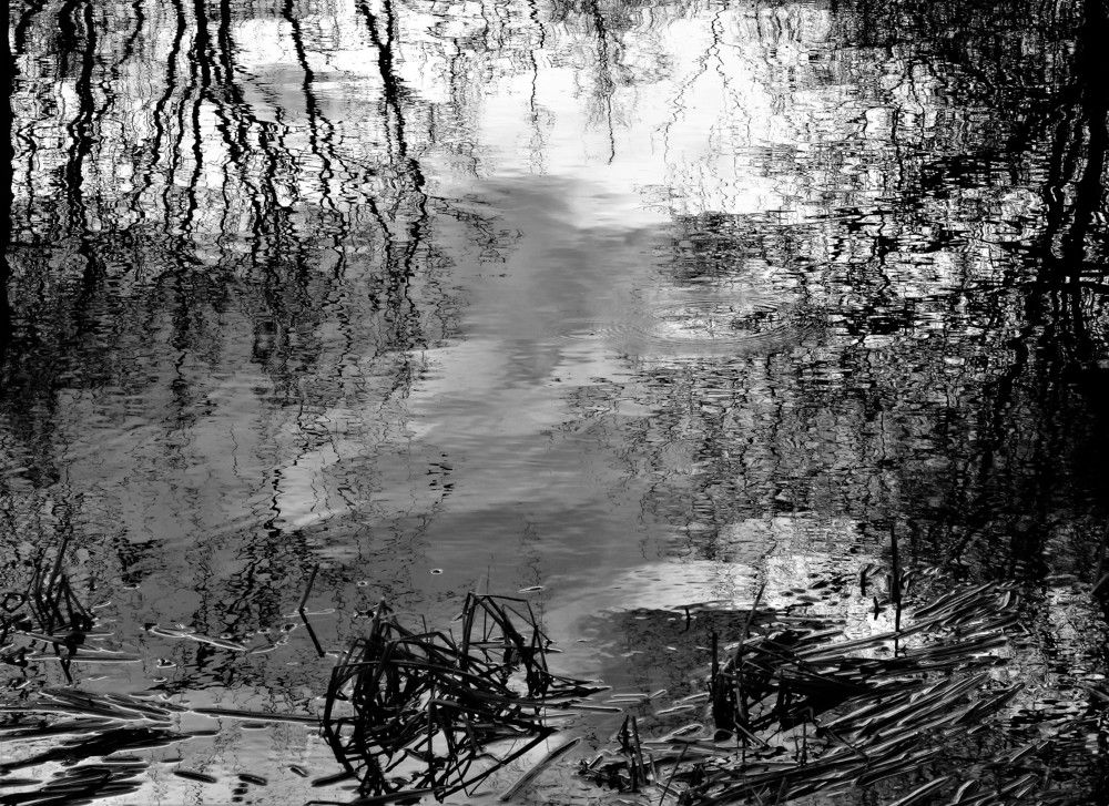 Фотография автора Tiia Vissak