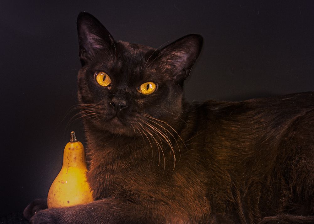 Photograph by Галина Суровицкая