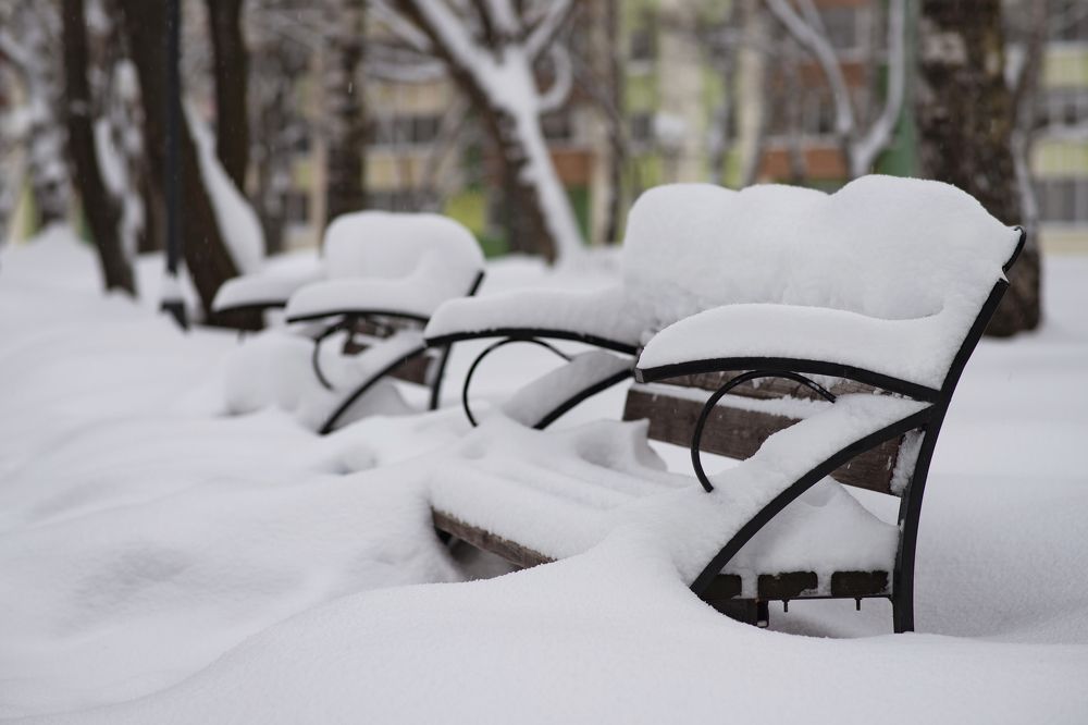 Photograph by ALBERT