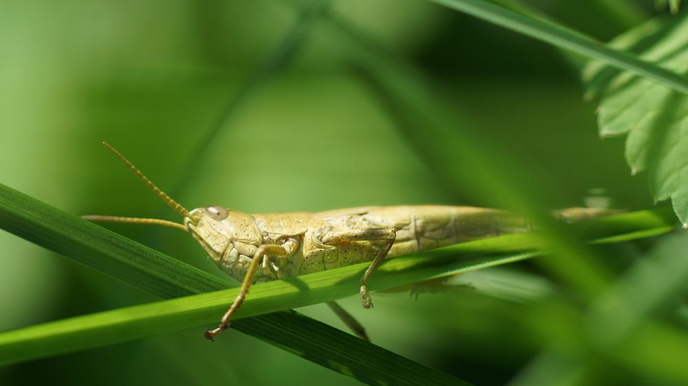 Photograph by  Kelli