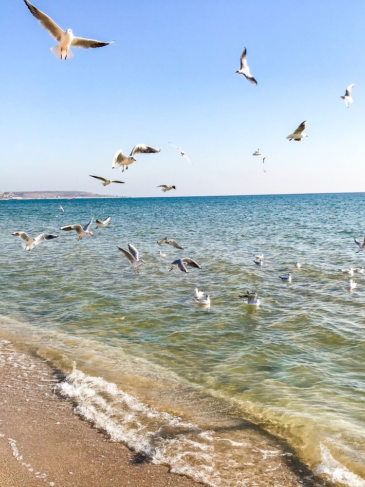 Photograph by Екатерина Стефанова