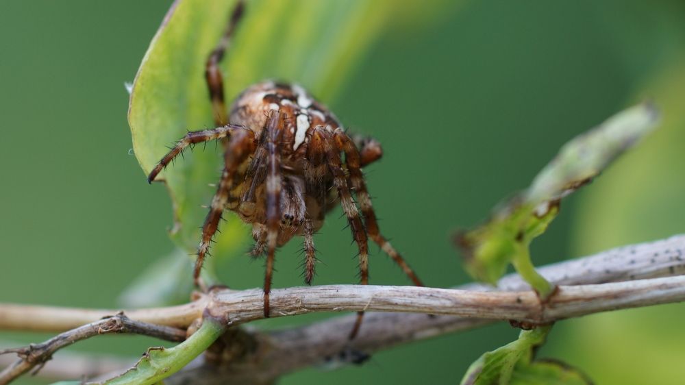 Photograph by  Kelli