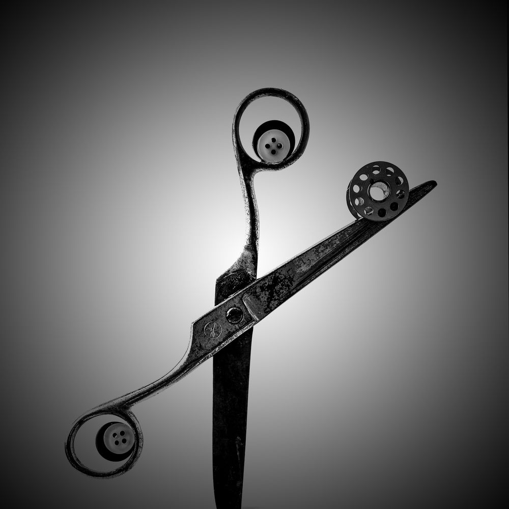 Photograph by hassan yazdi zeynab