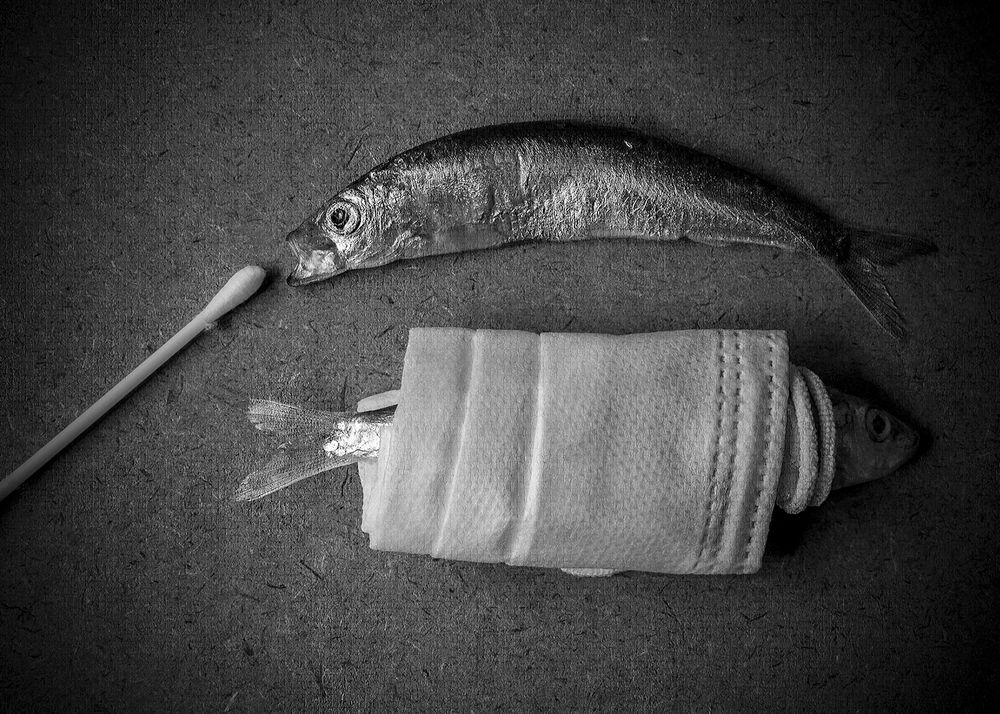 Photograph by hassan yazdi zeynab