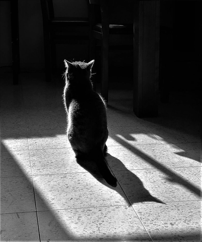 Photograph by Marina Eremin