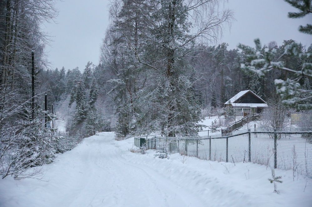 Photograph by Инна Юдина