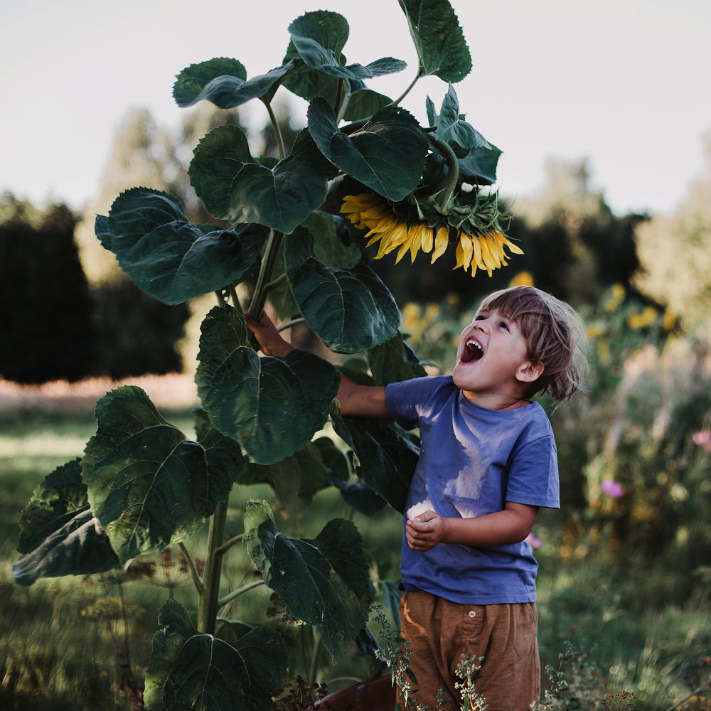 Фотография автора Анна Беляева
