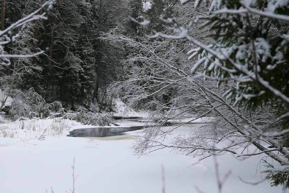 Photograph by Инна Юдина