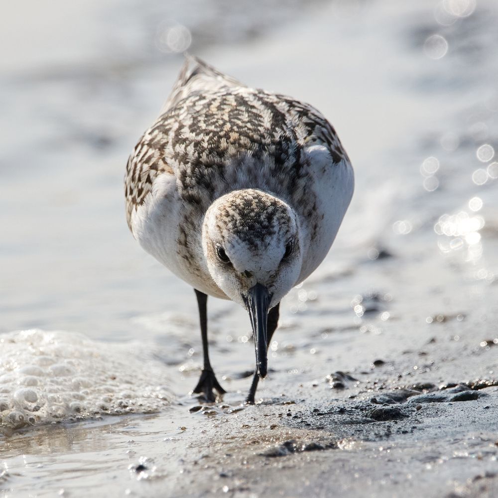 Photograph by Иван Волков