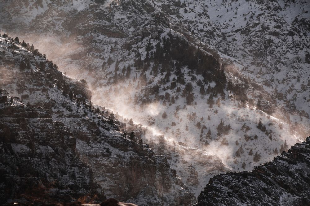 Photograph by Сергей Недогадов