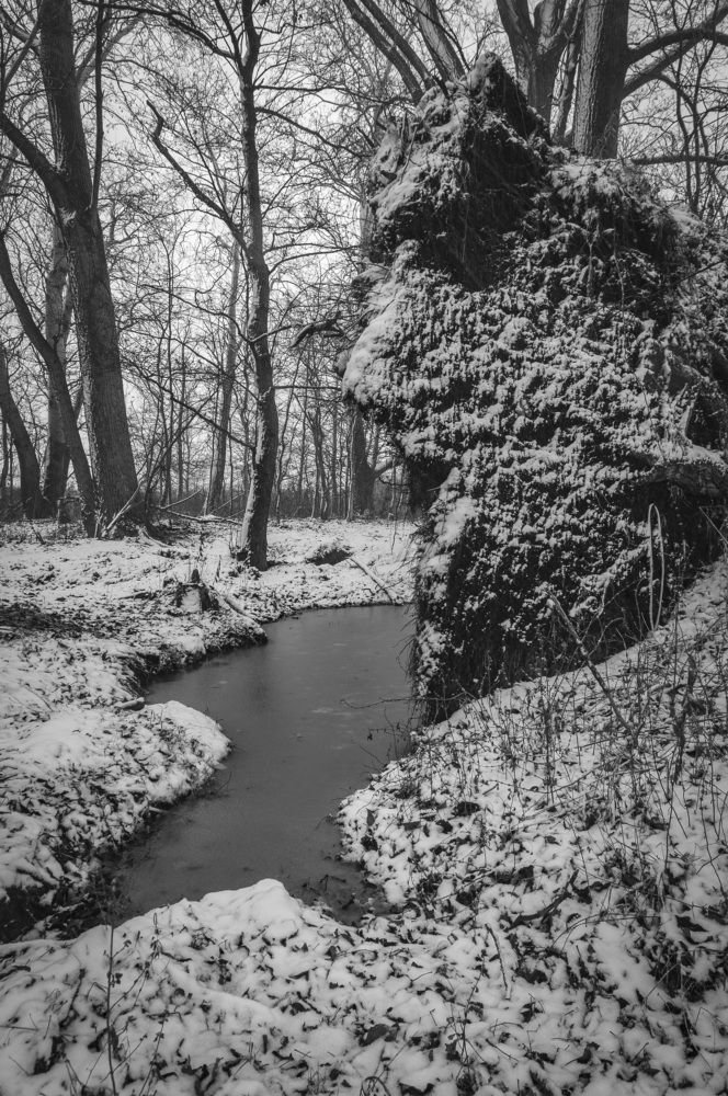 Photograph by Кондратюк Андрей