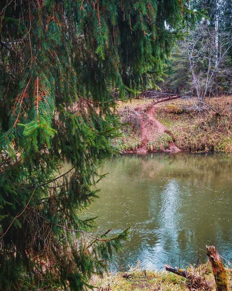 Photograph by Анна Каменева