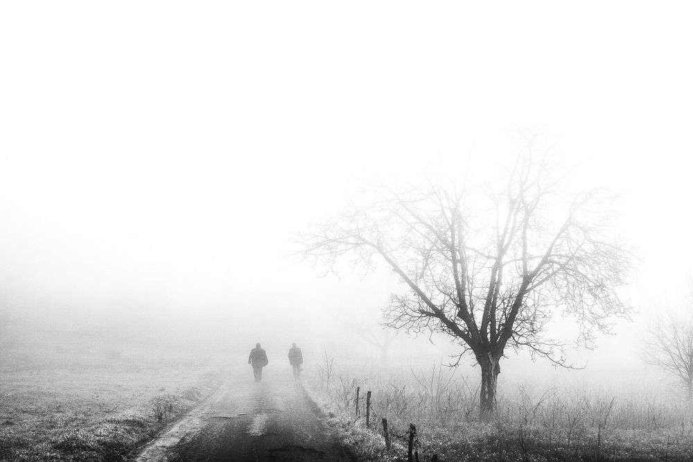 Photograph by Efraim DONMEZ