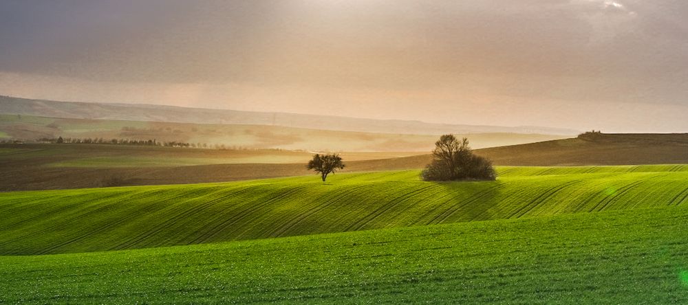 Photograph by Efraim DONMEZ