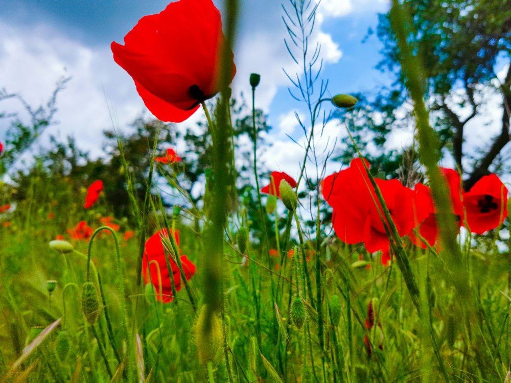 Photograph by Ирина Лотоцкая