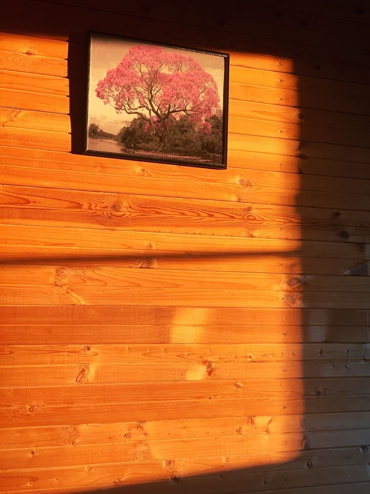 Photograph by Валерия Машкова