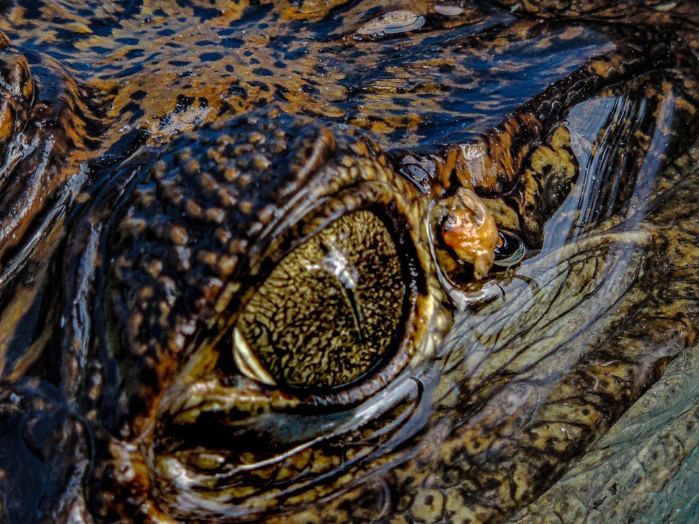 Photograph by Галина Суровицкая