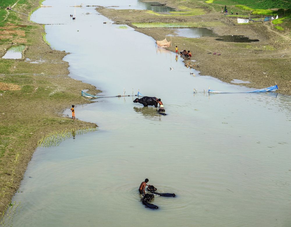 Photograph by Joy Ariyan Haque