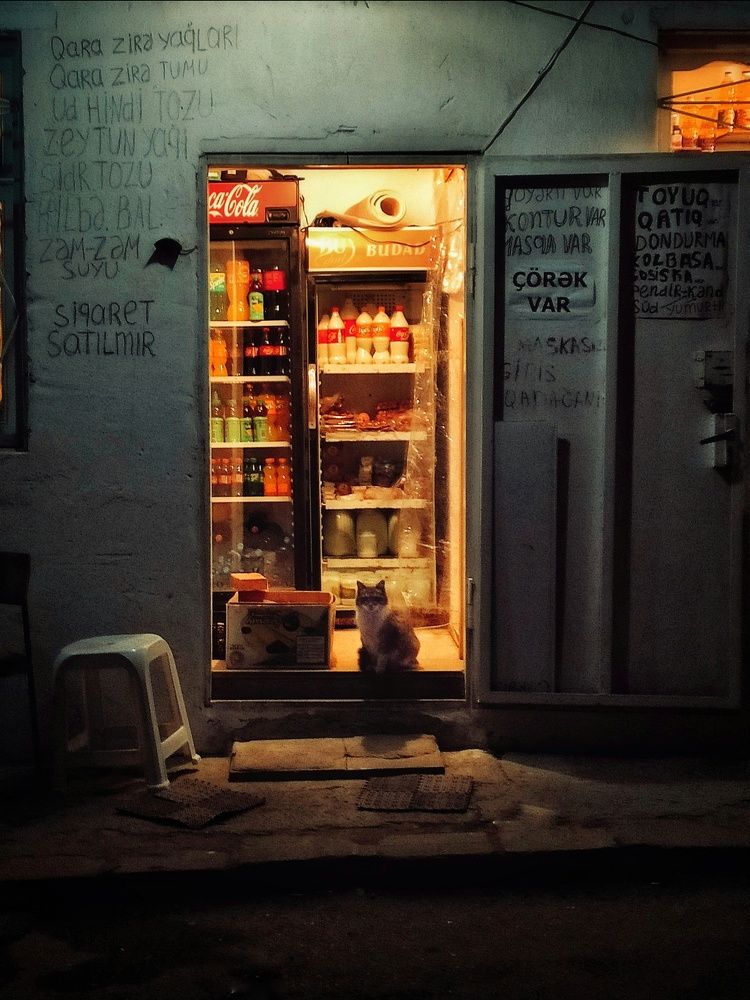 Looking for something, pal..?