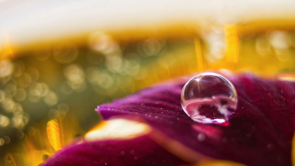 Остановить мнение