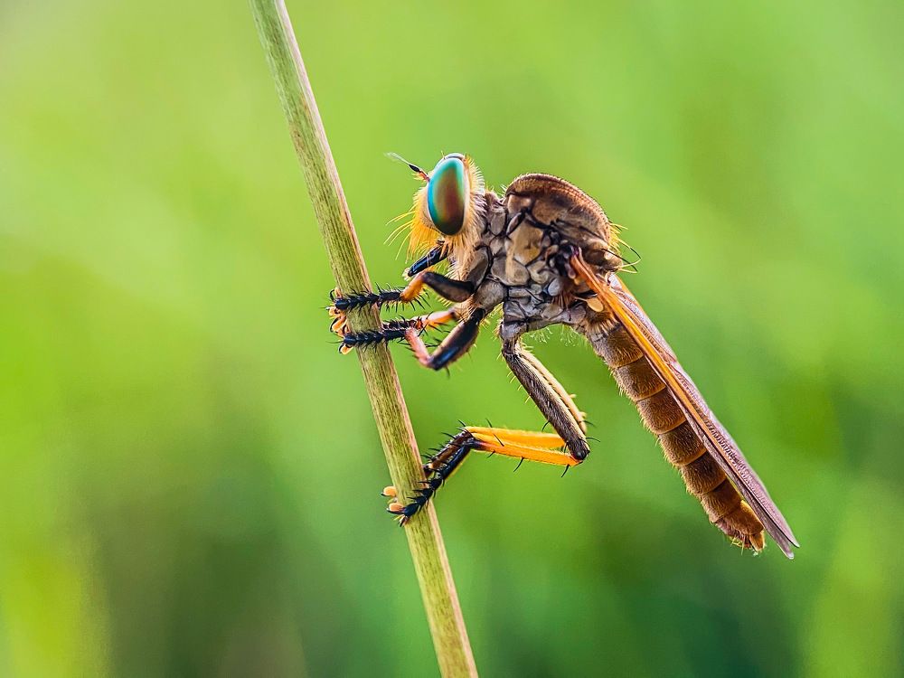 Photograph by EL Nova