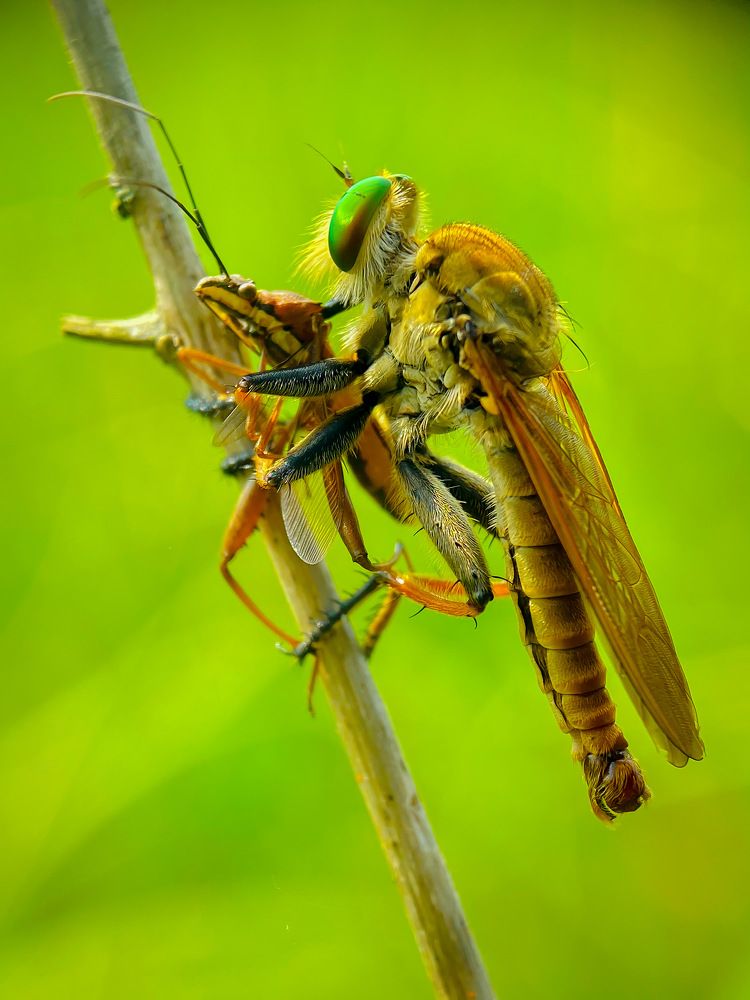 Photograph by EL Nova