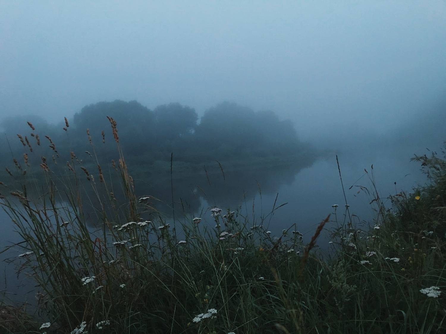 Photo #5930198